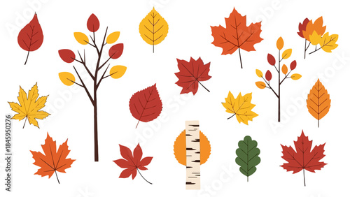 Collection of autumn leaves and tree branches in various shapes and colors on isolated white background