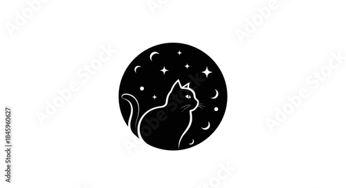 Black Cat Silhouette Gazing at Starry Night Sky.