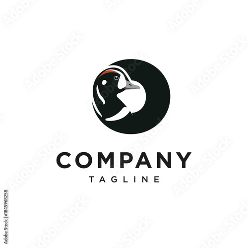 Letter O Harlequin Duck Logo Icon Vector