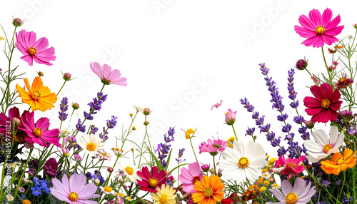 A vibrant border of colorful wildflowers and grasses against a black background