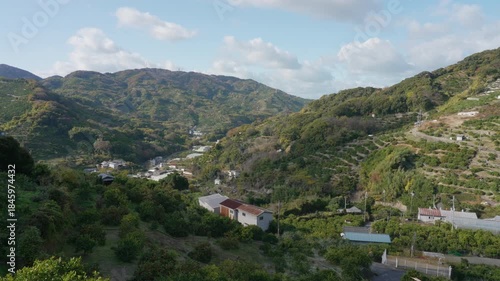 「晩生みかん(蔵出しみかん)の畑山」和歌山県海南市下津
