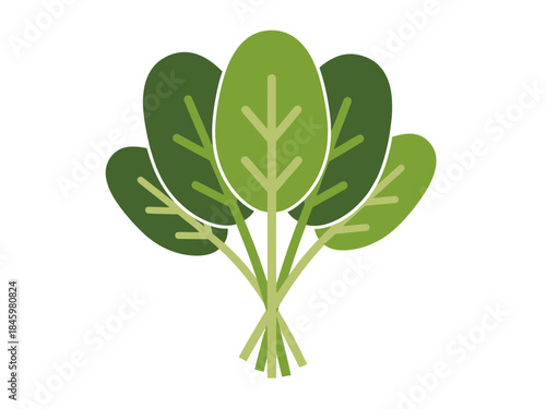 A simple flat vector icon of a fresh bunch of green spinach leaves, symbolizing healthy eating, organic food, and nutrition