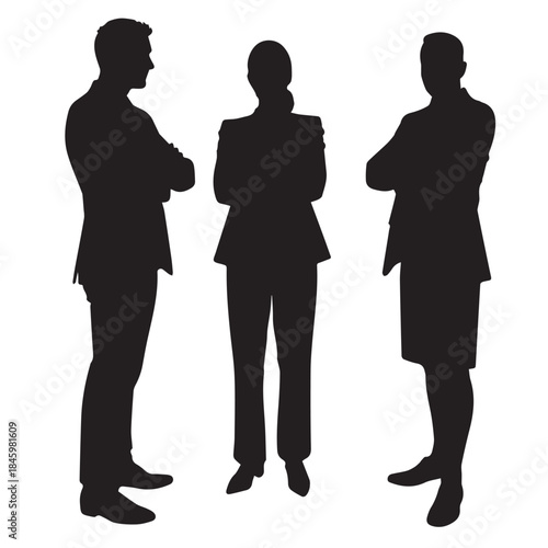 Business people , silhouettes, group of standing business men and businesswomen
