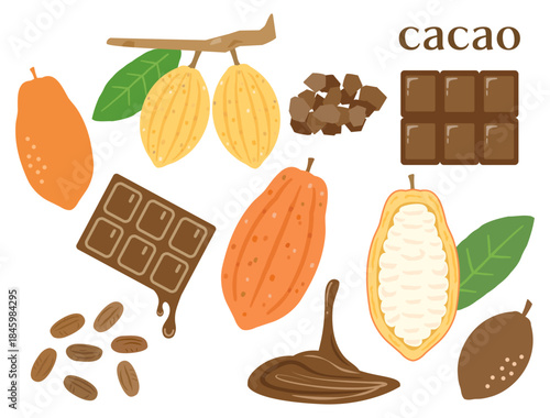 バレンタインなどに使えるカカオの実とチョコレートのイラストのセット