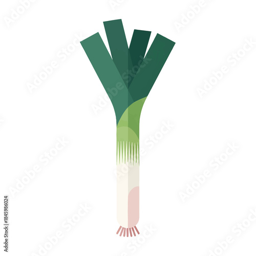 A stylized, flat illustration of a leek with green leaves and a white base against a white background.