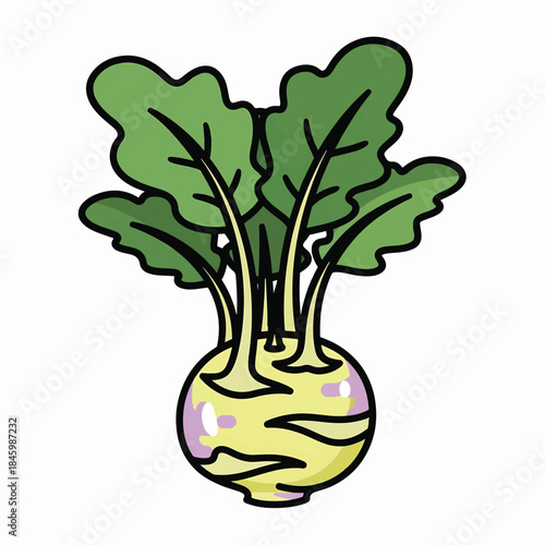 A cartoon illustration of a kohlrabi, a bulbous root vegetable with leafy green tops.