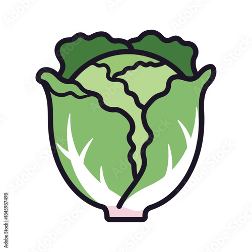 A stylized, cartoon-like illustration of a head of lettuce on a white background.
