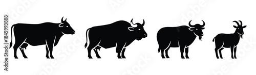 Diverse animal silhouettes featuring livestock and wild bovids such as a cow, yak, and goat