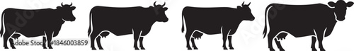 Set of Cow Silhouette Black and White Farm Animal Vector Illustration