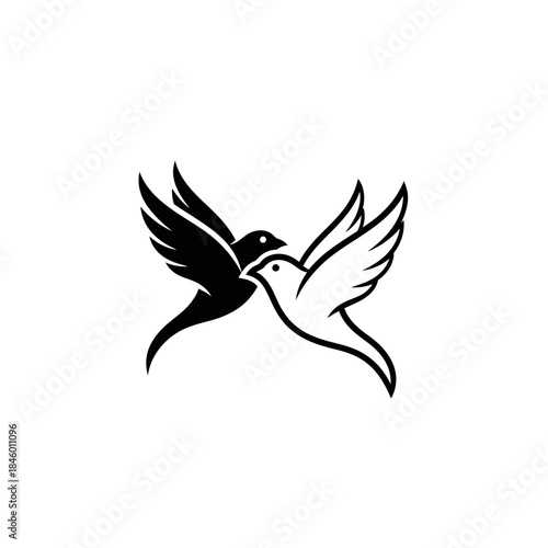 Two Birds Flying Towards Each Other Silhouette and Outline wings feathers