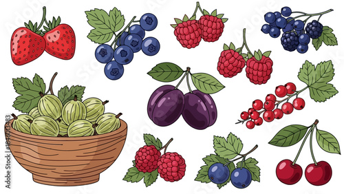 Assortment of Fresh Berries and Fruits, Isolated on White, Vector Illustration