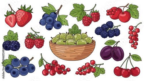 Assorted Fresh Berries and Fruits Collection, Vector Illustration Set