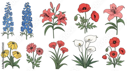 Set of Beautiful and Diverse Floral Vector Illustrations in a Charming Collection
