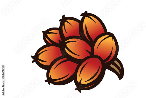 A clean vector illustration of oil palm fruit shows fresh red clusters with detailed textures and natural shapes, representing agriculture, tropical farming, and sustainable plantation concepts.