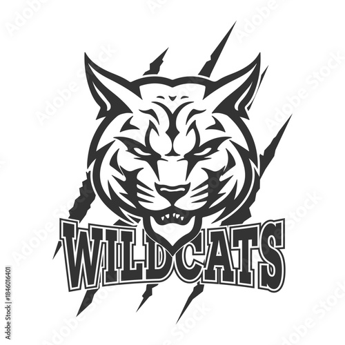 Wildcat design logo vector school team, front face mascot wild cat.