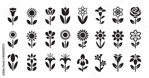 Set of various flower icons black glyphs garden blooming floral plants with stems and leaves