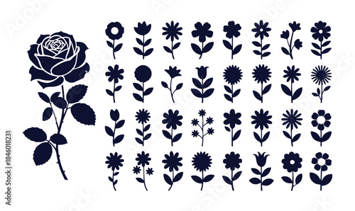 Minimalist flower collection with various plants and rose simple abstract graphic design elements art