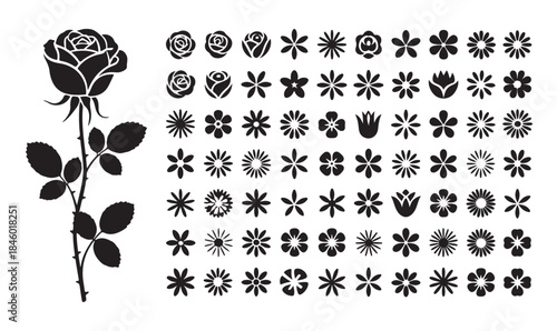 Elegant rose silhouette with various bloom flower icons creating beautiful black vector illustration