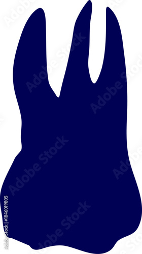 Silhouette vector of a human molar tooth. Solid style illustration of a human molar tooth. Simple black and white illustration of a human molar tooth shape. 