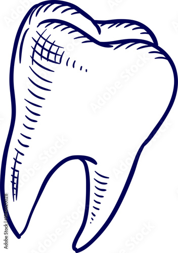 Tooth outline isolated on white background. Icon of Dental tooth. Teeth in linear design. Tooth Outline Icon vector. 