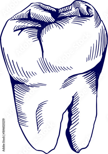 unhealthy tooth hand drawn vector illustration. Hand-drawn illustration of a tooth showcasing a natural texture and shape, symbolizing dental health and hygiene.