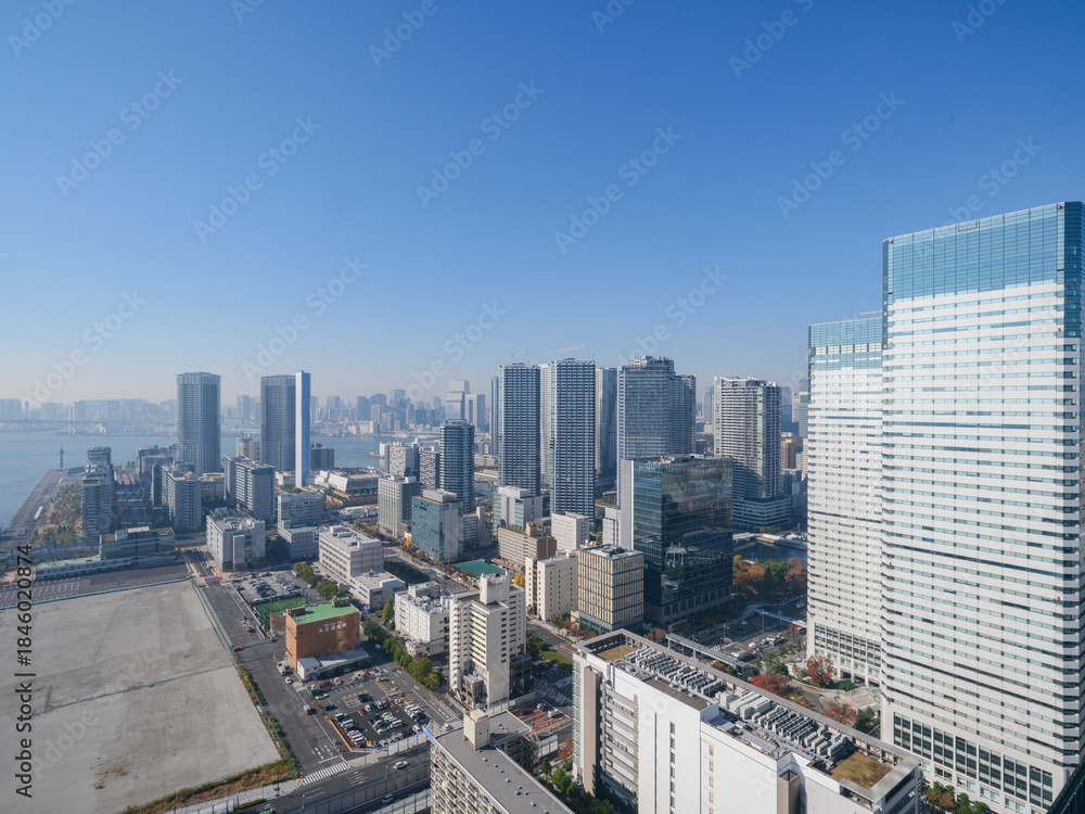 Fototapeta premium 東京都の眺望