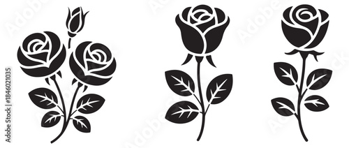 Beautiful collection of black rose silhouettes featuring multiple flowers and buds on stems