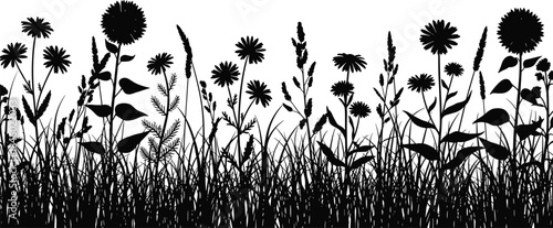 Black silhouette of meadow flowers and wild grass border, realistic natural flowerbed vector design for background and banner.