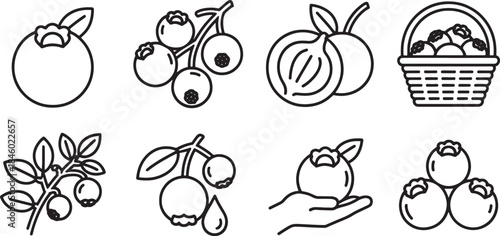 Collection of black line art icons depicting blueberries and related elements blueberry fruit