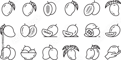 Collection of black line art icons depicting mangoes in various forms and presentations fruit illustration