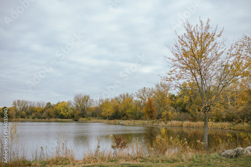 Lake with fall foliage at Oakhurst Forest Preserve, Aurora IL with copy space