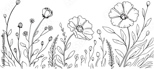 Flower doodle background vector. Flower doodle background vector. Poppy flowers in continuous line art drawing style. Doodle floral border with two flowers blooming among grass.