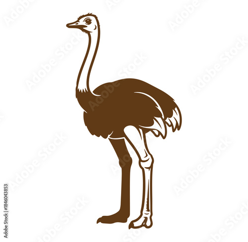 Detailed brown ostrich illustration standing on a white background showing elegant features