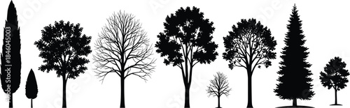 Tree silhouette vector, botanical icon, forest shape, nature element, black foliage, seasonal tree, landscape design, environmental graphic, diverse species