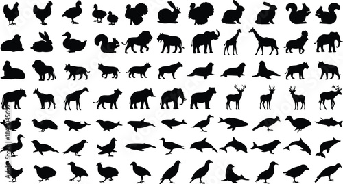 Animal silhouettes collection featuring wildlife birds mammals fish vector icons isolated black shapes for design branding illustration projects commercial stock