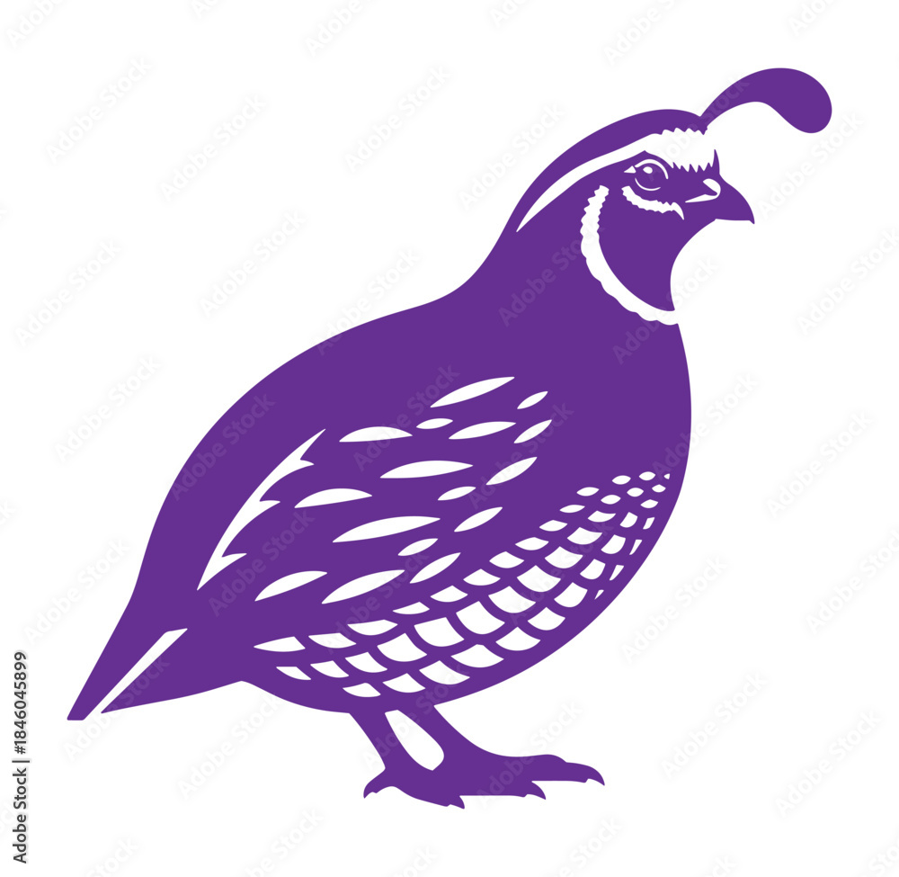 Obraz premium Stylized purple silhouette of a quail bird isolated on a white background