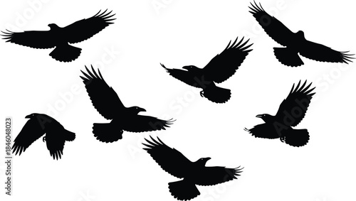 Flying bird silhouettes collection with wings spread in multiple angles isolated black vector icons for wildlife illustration stock design