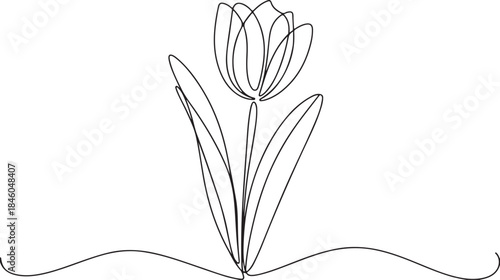 Tulip one line drawing. Continuous line drawing of flower tulip.Abstract flower continuous line. Minimalist contour drawing of tulip.