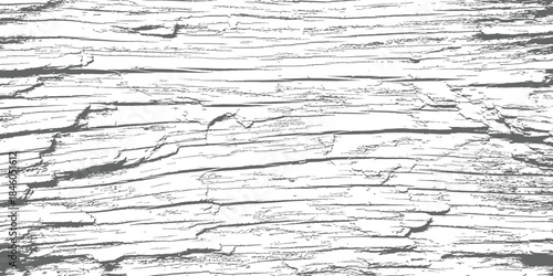 Distressed vector wood texture background abstract grunge gray scale pattern surface overlay