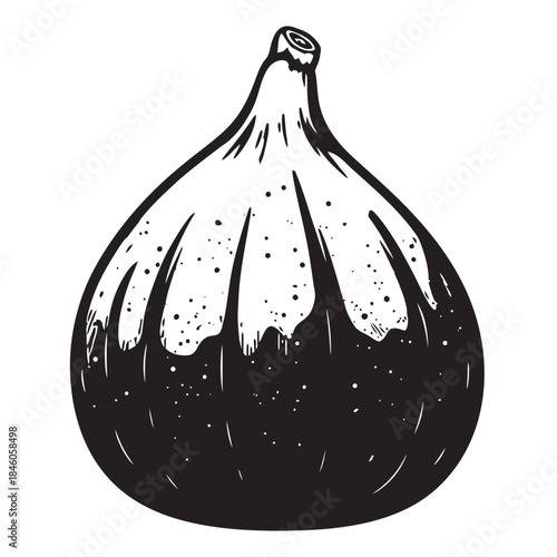 Detailed illustration of a whole and cross-sectioned fresh purple fig, showcasing its sweet seeds, representing natural dessert, Mediterranean cuisine, and healthy gourmet food