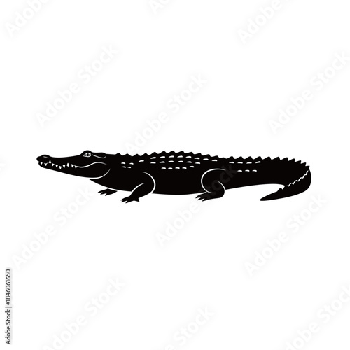Black silhouette of a powerful crocodile or alligator with detailed scales and sharp teeth, symbolizing danger, wilderness, reptile wildlife, and predatory nature.