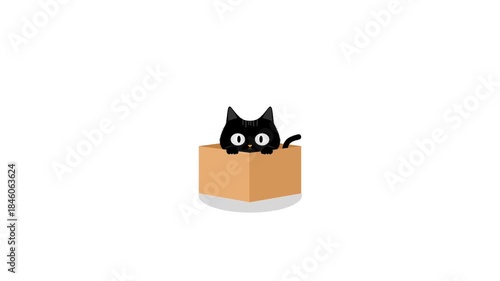 Funny cute cat animated in the cardboard