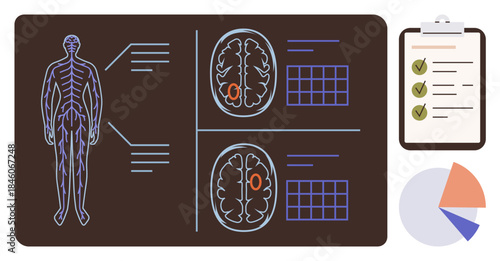 Human nervous system outline with brain scans, detailed analysis labels, checklist, and pie chart. Ideal for healthcare, neuroscience, diagnostics, biology, research education health infographic