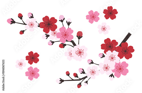 レトロな配色がモダンな桜の枝と花の装飾パーツイラスト