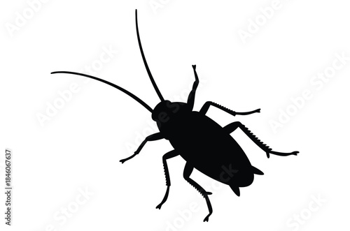 Cockroach silhouette vector, pest animal symbol, Cockroach icon, cockroach walking silhouette vector