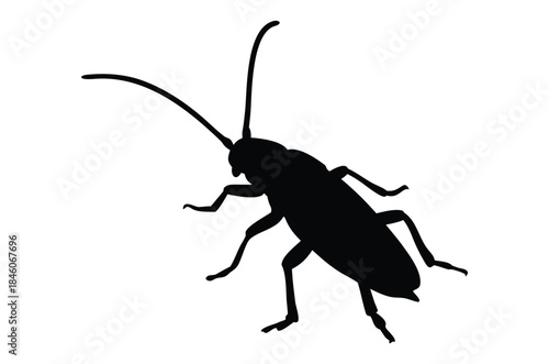 Cockroach silhouette vector, pest animal symbol, Cockroach icon, cockroach walking silhouette vector