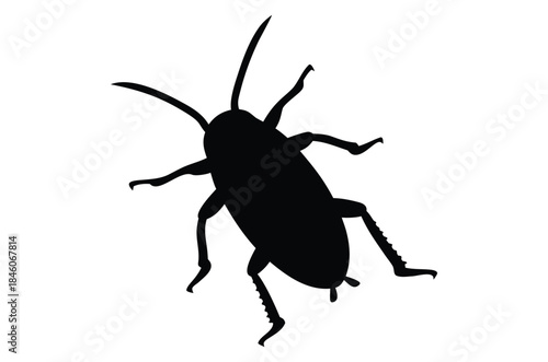 Cockroach silhouette vector, pest animal symbol, Cockroach icon, cockroach walking silhouette vector