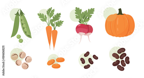 Fresh vegetables and legumes collection with transparent background