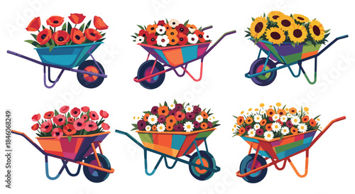 Flower filled wheelbarrows colorful garden blooms