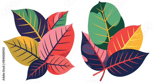Colorful autumn leaves arrangement with transparent background